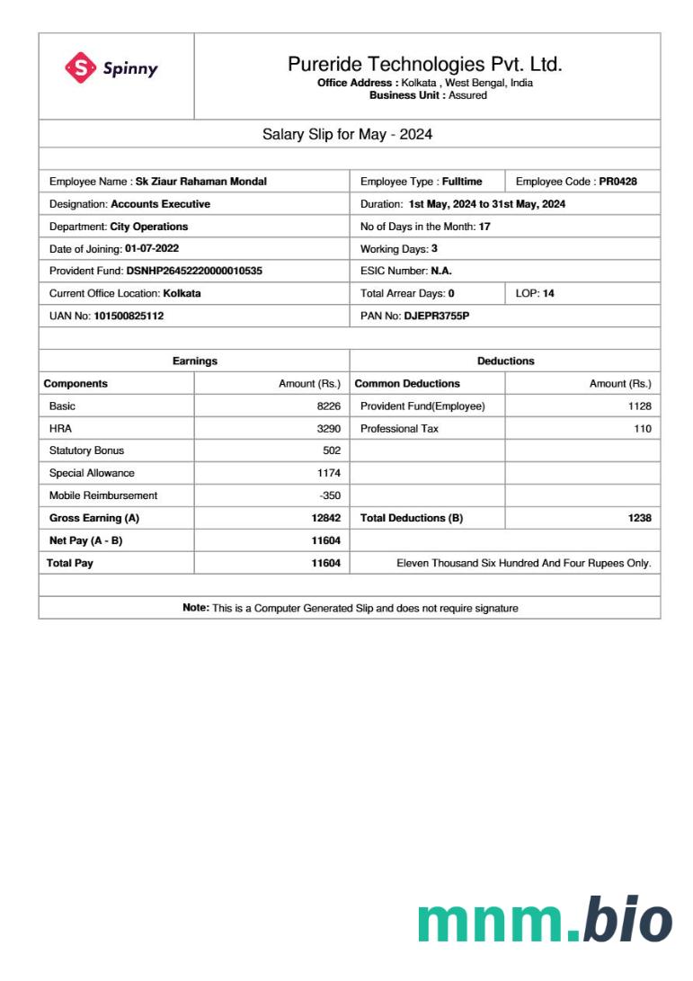 Szablon poślizgu wynagrodzeń Pureride Technologies w formatach Word i PDF